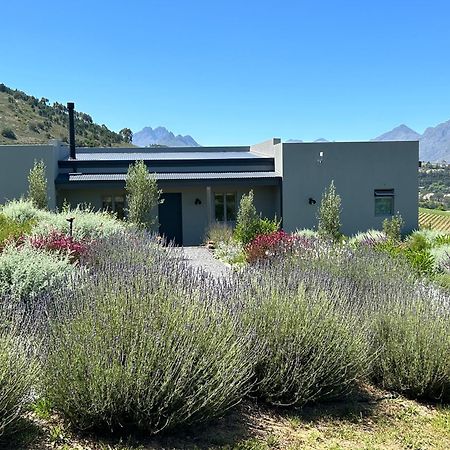 Windon Vineyard Farmhouse Stellenbosch Dış mekan fotoğraf