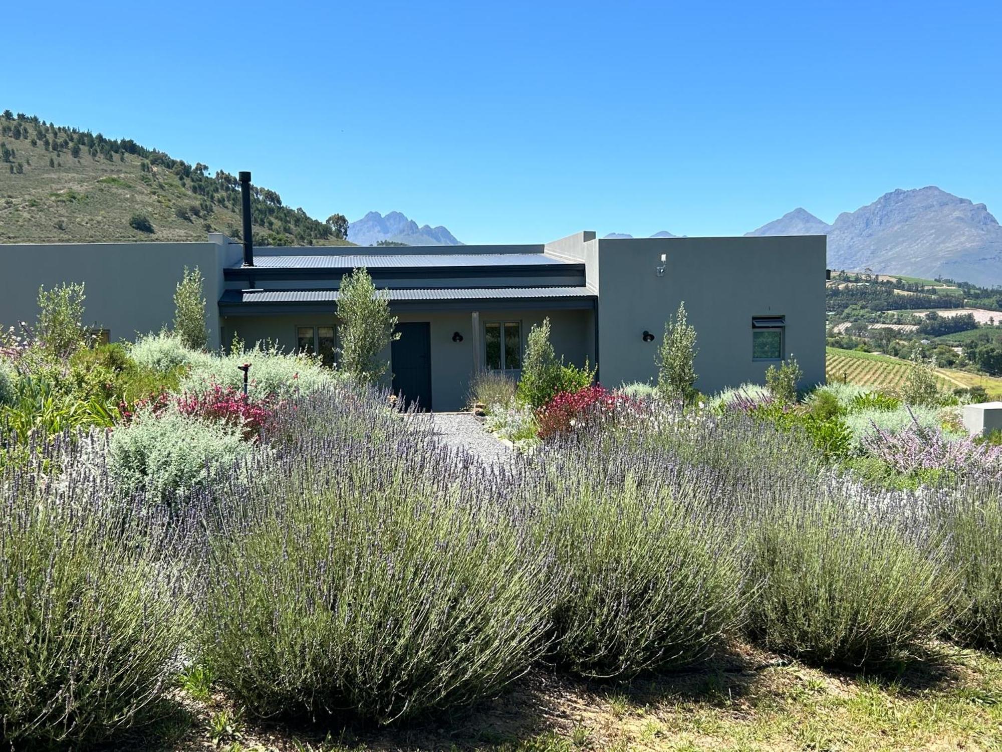 Windon Vineyard Farmhouse Stellenbosch Dış mekan fotoğraf